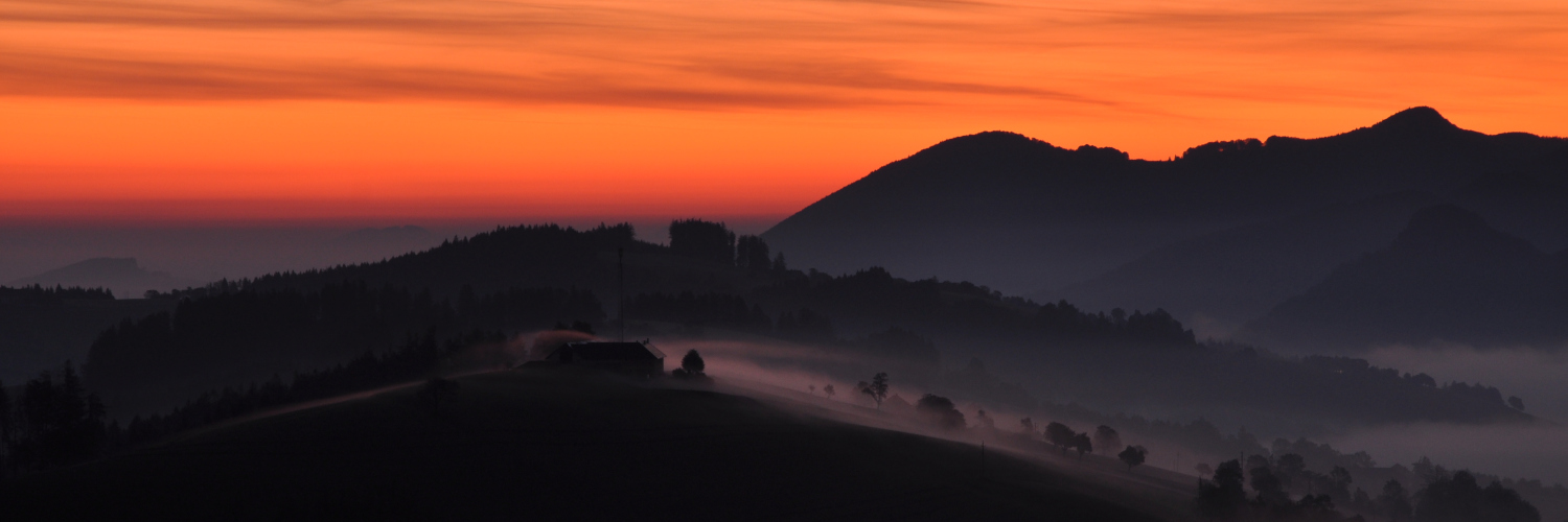 Header Image